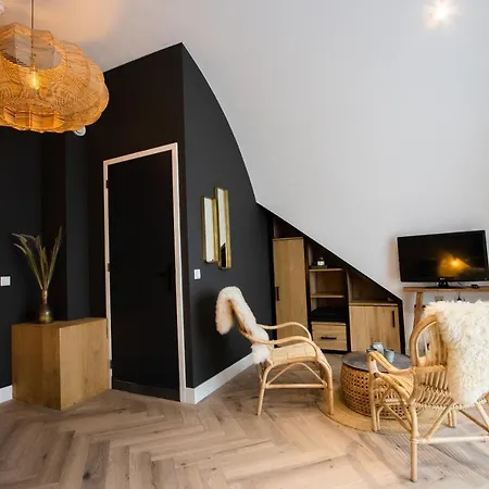 ホテル Neptunus エグモント・アーン・ゼー