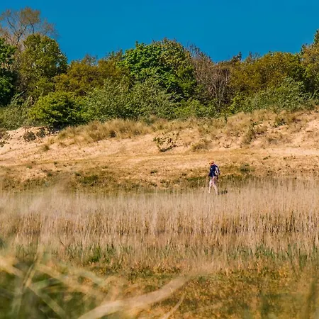 Neptunus Hotel Egmond aan Zee