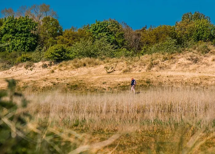 Neptunus فندق إغموند آن زي